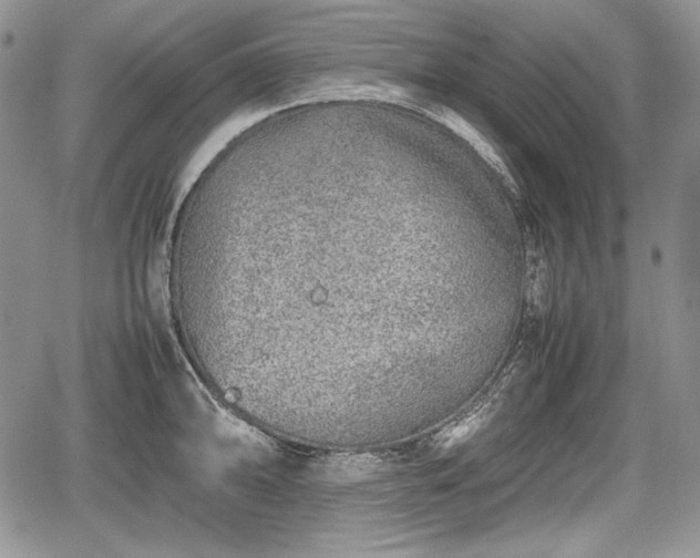 X0000067911094200604171332