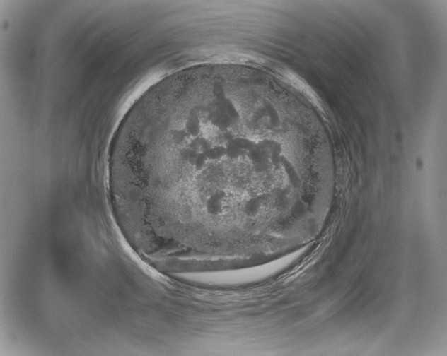 X0000067911095200604171332