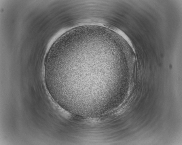 X0000067911096200604171332