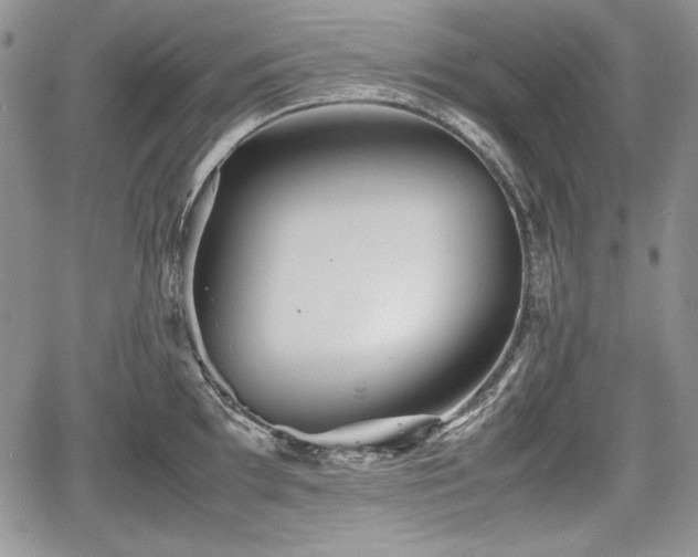 X0000067911097200604171332