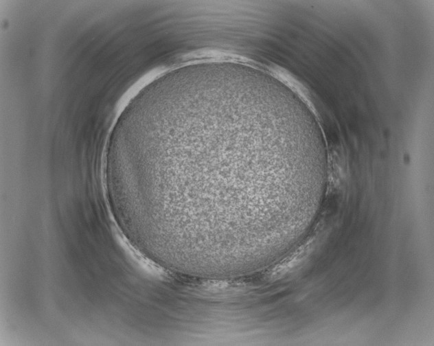 X0000067911098200604171332