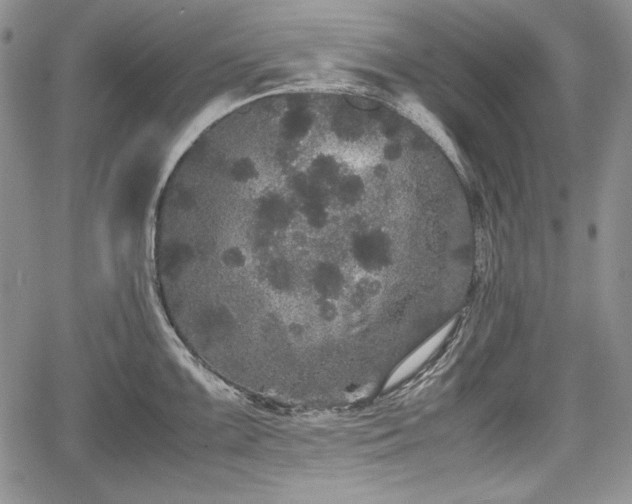 X0000067911099200604171332