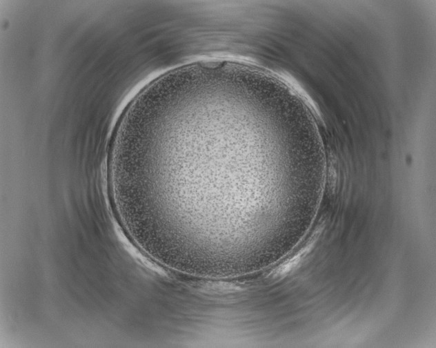 X0000067911100200604171332