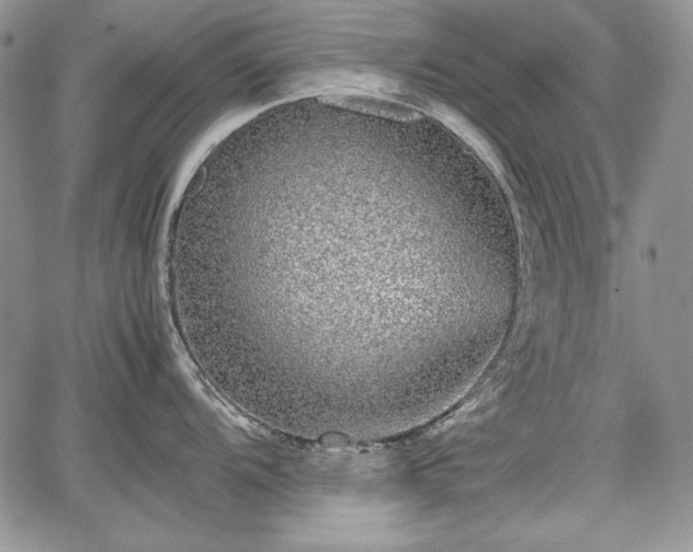 X0000067911104200604171332