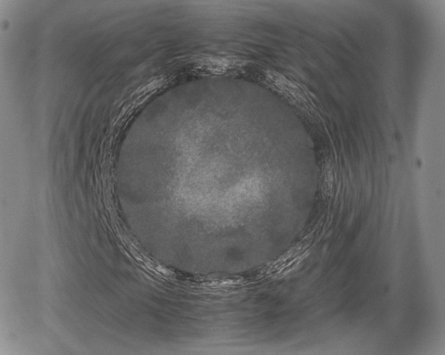 X0000067911105200604171331