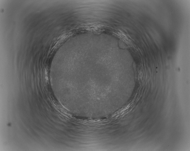 X0000067911106200604171331