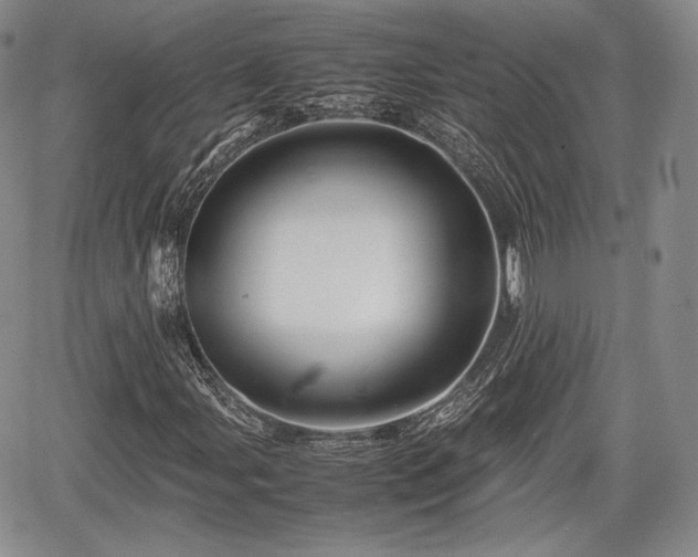 X0000067911107200604171331