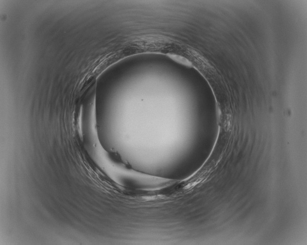 X0000067911108200604171331