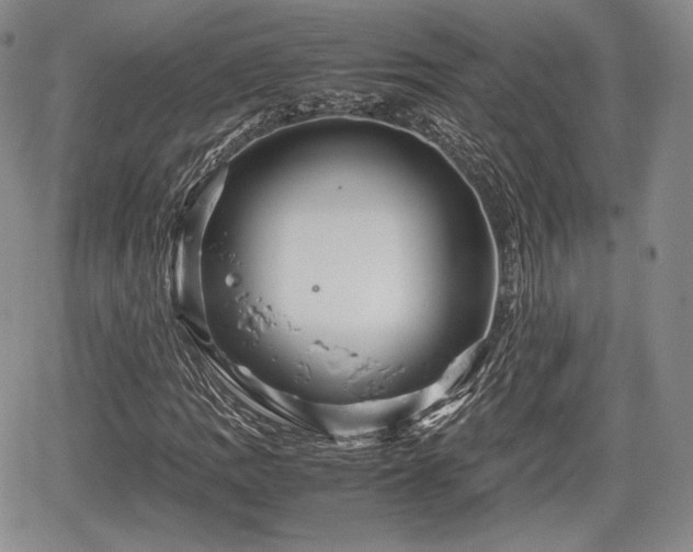 X0000067911109200604171331