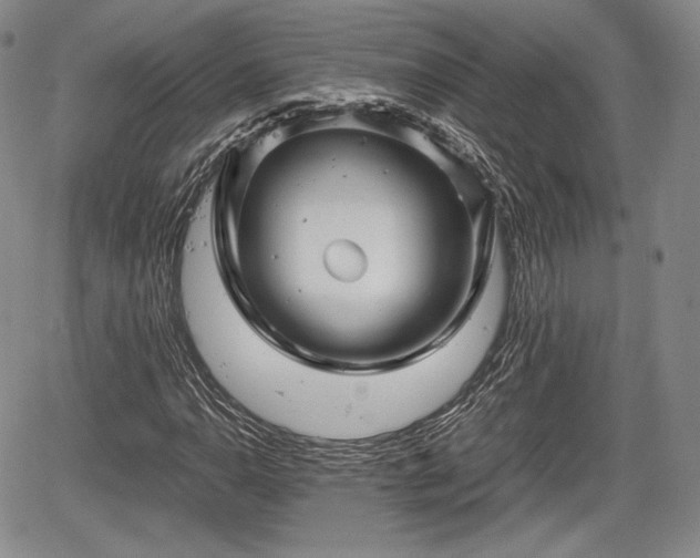 X0000067911110200604171331