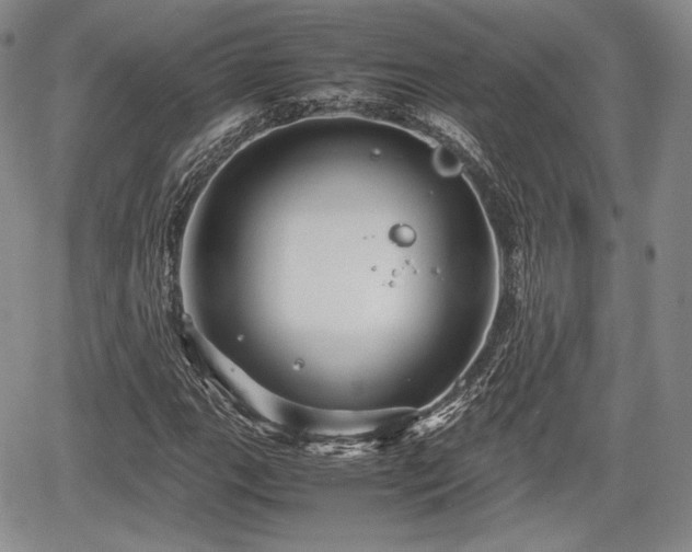 X0000067911111200604171332