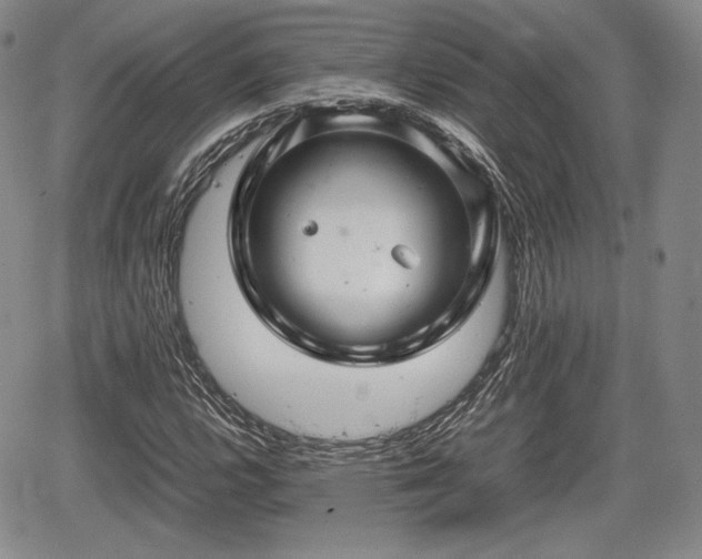 X0000067911112200604171332