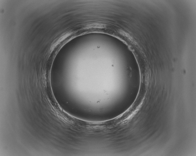 X0000067911113200604171332