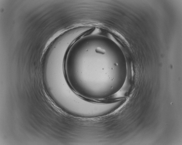 X0000067911114200604171332