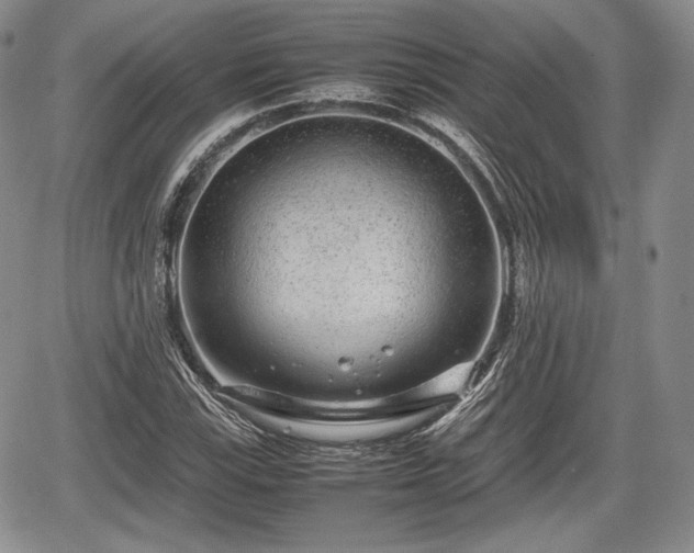 X0000067911115200604171332