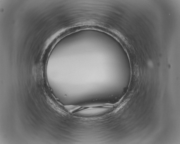 X0000067911118200604171332