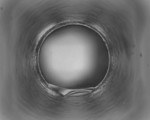 X0000067911119200604171332