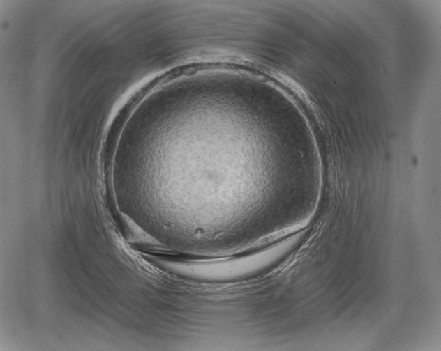 X0000067911120200604171332