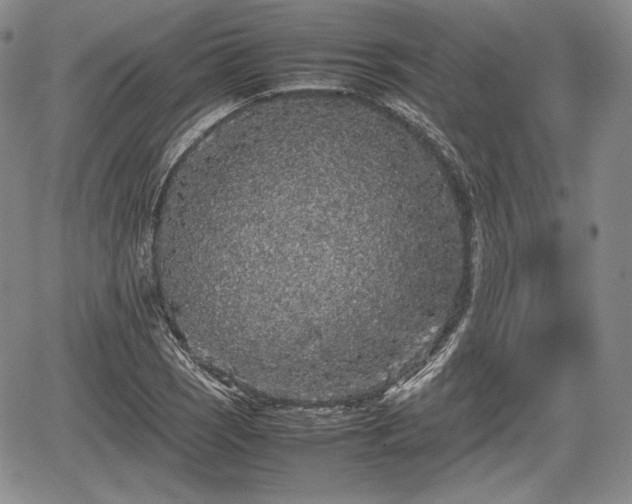 X0000067911121200604171332