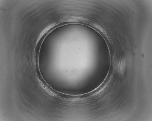 X0000067911122200604171332