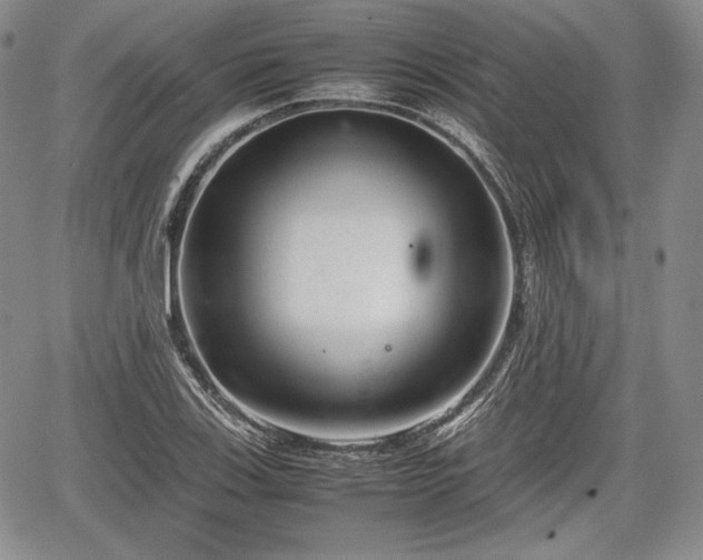 X0000067911123200604171332