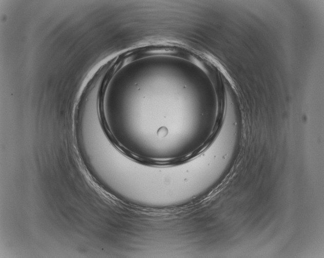 X0000067911124200604171332