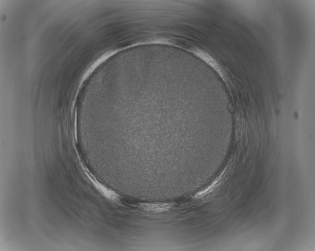 X0000067911127200604171332