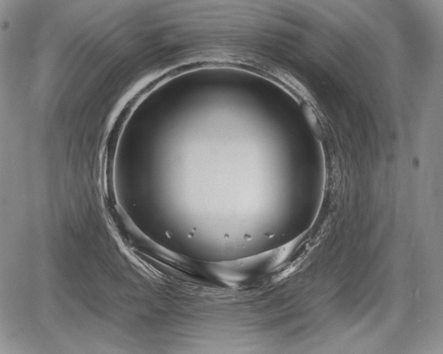 X0000067911128200604171332