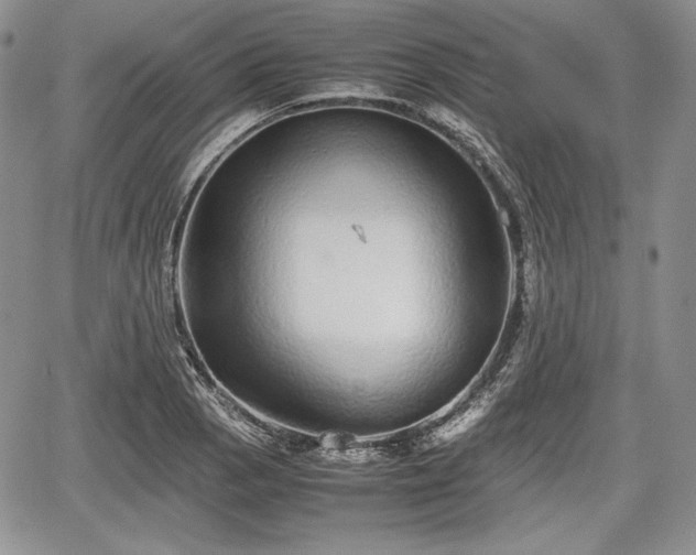 X0000067911129200604171332