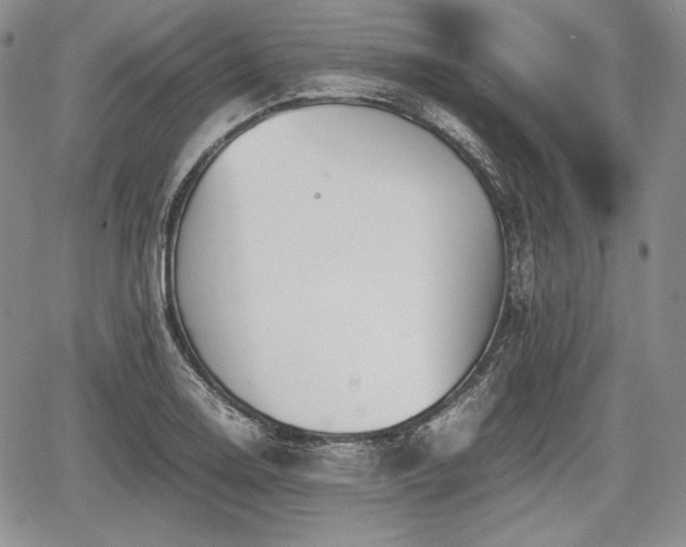 X0000067911130200604171332