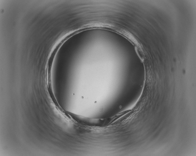 X0000067911132200604171332