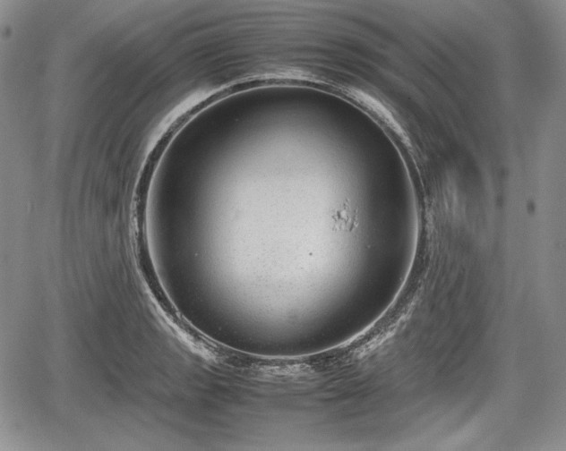 X0000067911133200604171332