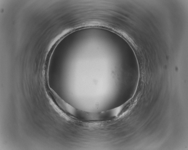 X0000067911134200604171332