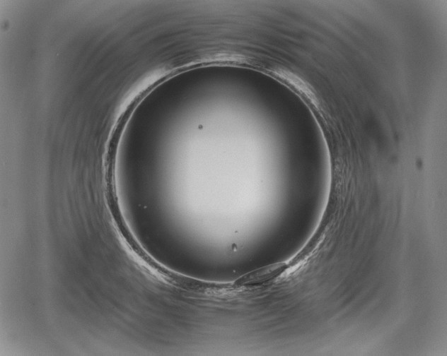 X0000067911135200604171332