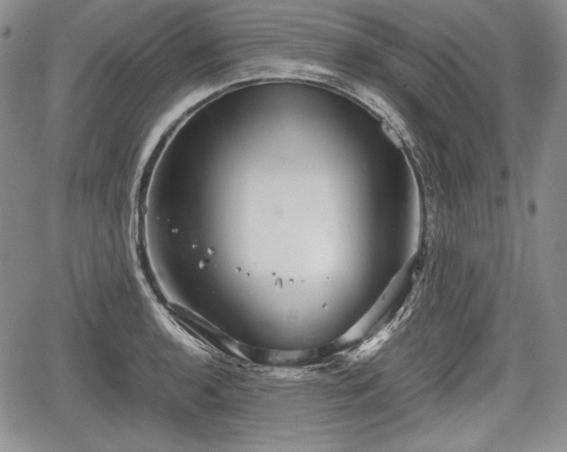 X0000067911136200604171332