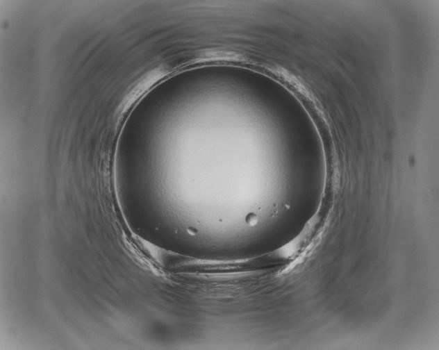 X0000067911137200604171332