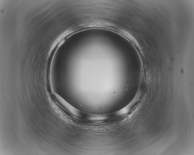 X0000067911138200604171332