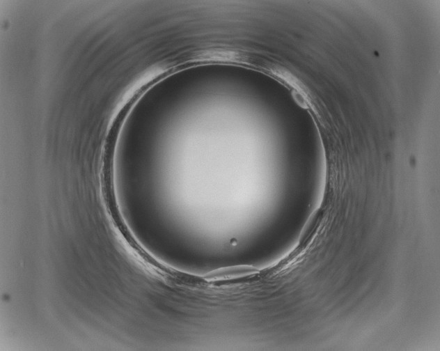 X0000067911139200604171332