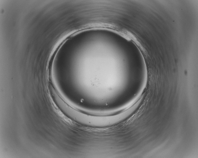 X0000067911140200604171332