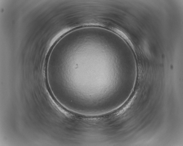 X0000067911141200604171332