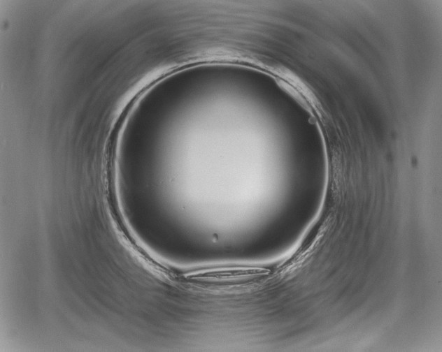 X0000067911142200604171332