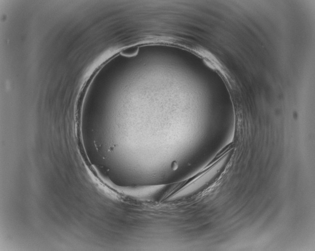 X0000067911143200604171332