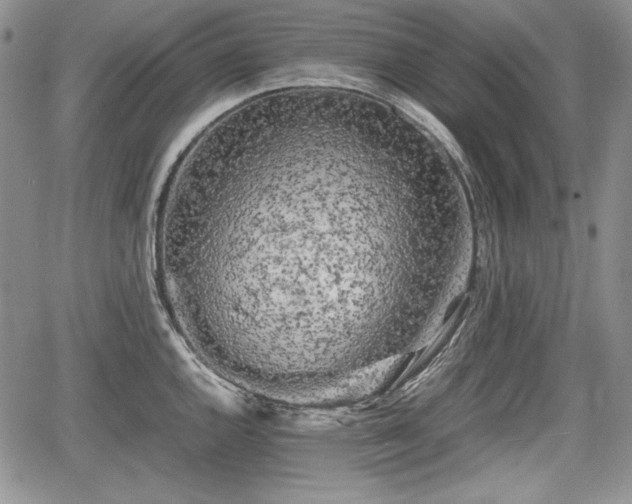 X0000067911144200604171332