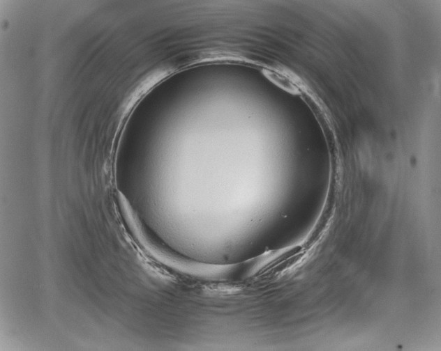 X0000067911145200604171332