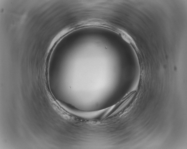 X0000067911146200604171332