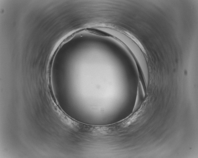 X0000067911148200604171332