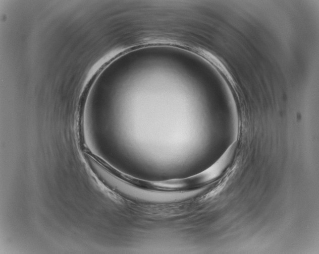 X0000067911149200604171332