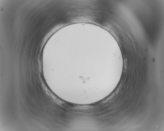 X0000067911150200604171332