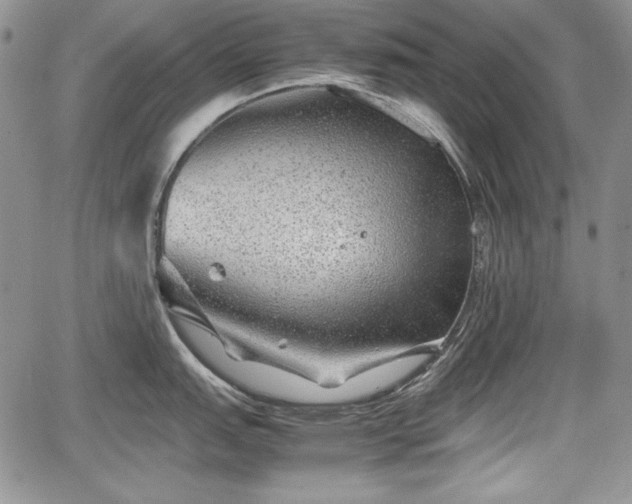 X0000067911151200604171332