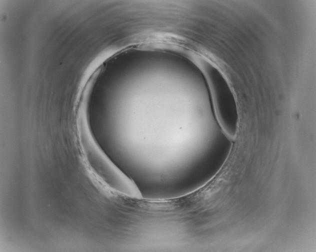 X0000067911152200604171332